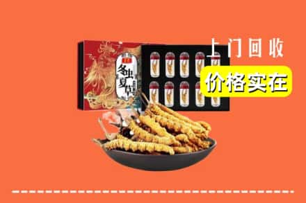 韶关市乐昌回收冬虫夏草